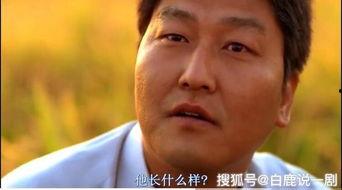 搞笑杀人电影排行榜,盘点搞笑杀人电影排行榜，惊悚与幽默的极致碰撞